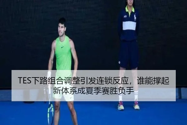 TES下路组合调整引发连锁反应，谁能撑起新体系成夏季赛胜负手 - ygrbuyu